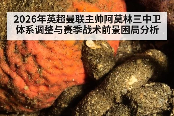 2026年英超曼联主帅阿莫林三中卫体系调整与赛季战术前景困局分析